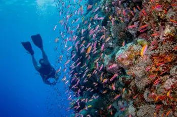 Tauchen und Schnorcheln mit Natures Way in Yap Mikronesien