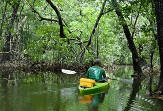 Kajakfahren Mangrovenwälder Yap Mikronesien