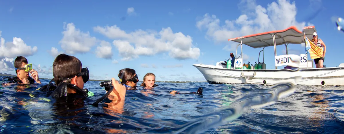 wo Mantarochen tanzen