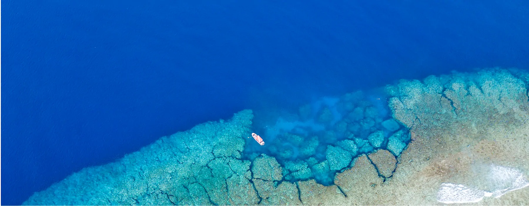 wo Mantarochen tanzen