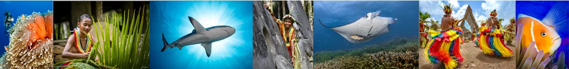 link to Yap photo and video galleries