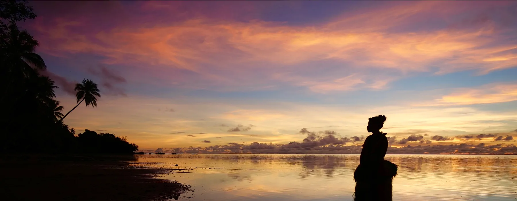 쥐가오리가 춤추는 곳
