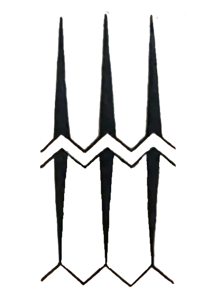 Yapese traditional Dolphin talisman tattoo